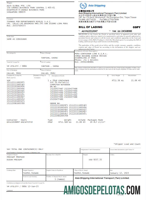 realista CINGAPURA ÁSIA TRANSPORTE Conta De Serviços Públicos Modelo Word E PDF